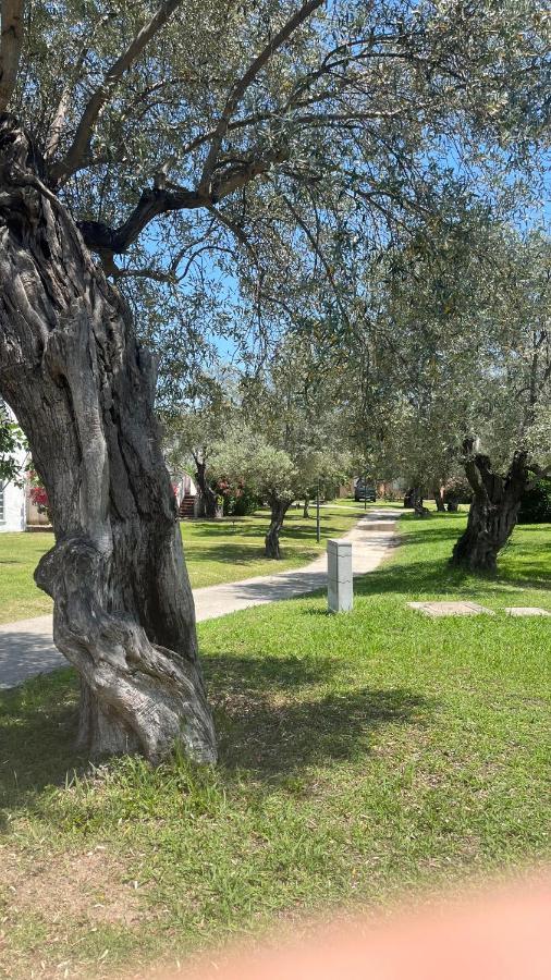 L'Isola Dei Vacanzieri Sant'Andrea Apostolo dello Ionio Exterior photo